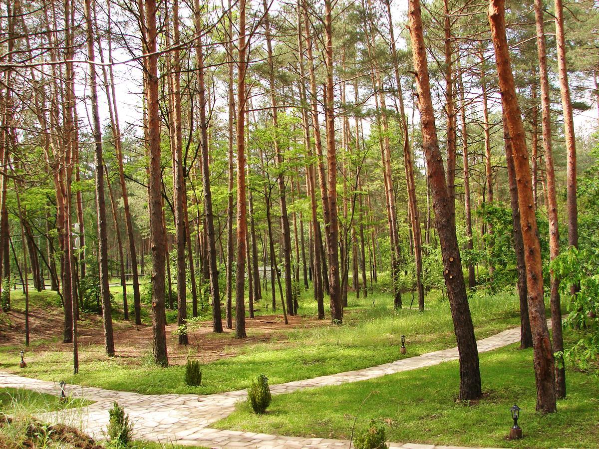 Pershyi Kordon Tourist Complex Otel Medvedevka Dış mekan fotoğraf